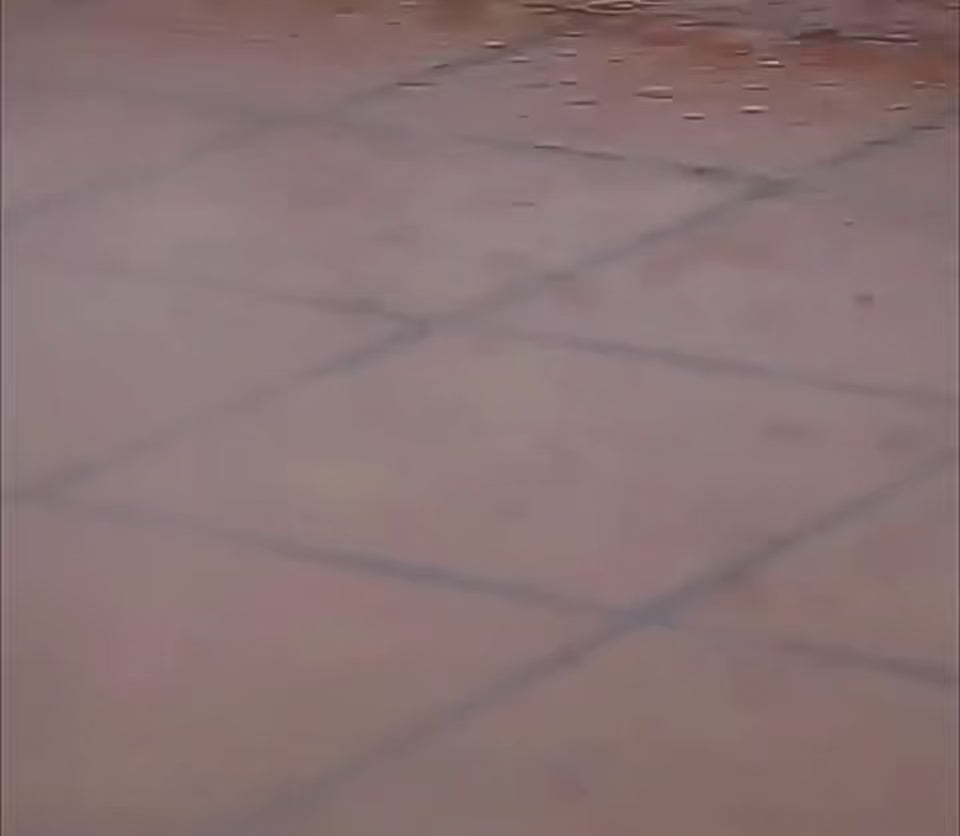 Charger la vidéo : 